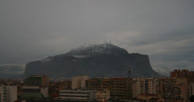 Distruzione sul Monte Pellegrino
